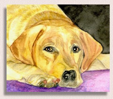 Watercolor Painting of Dawson the yellow lab