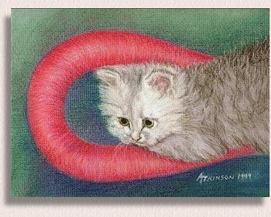 Pastel Painting of a persian kitten created by Portrait Artist Nancy Anthony